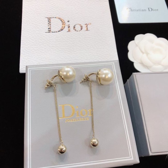 Dior Earrings CE14685