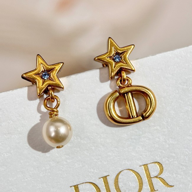 Dior Earrings CE14706