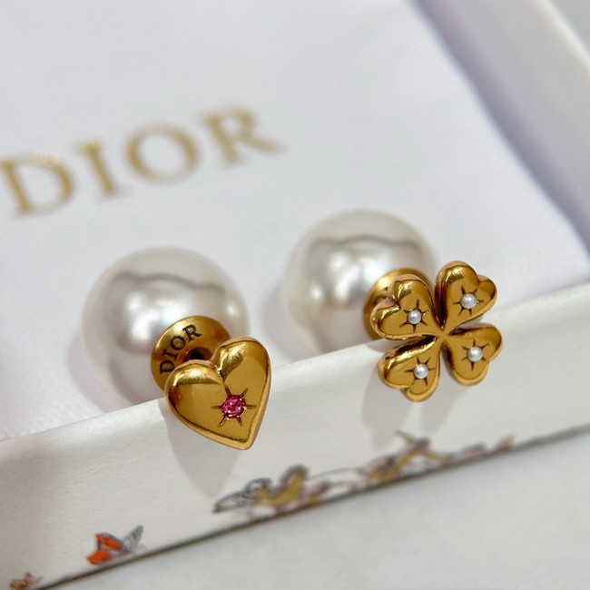 Dior Earrings CE14708