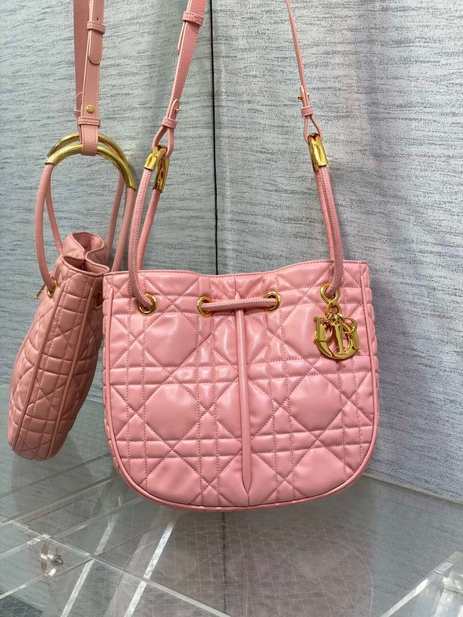 Dioriviera Medium Dior Nolita Bag Calfskin M2312UB pink
