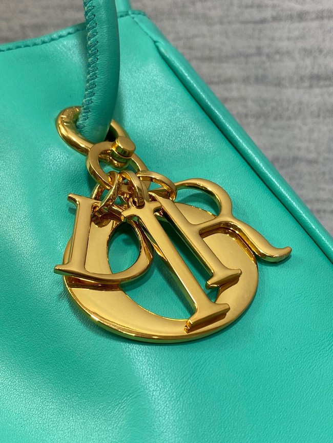 Dioriviera Medium Dior Nolita Bag Calfskin M2312UBGQ green