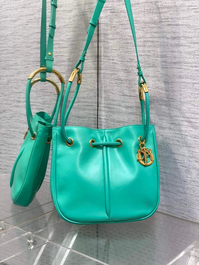 Dioriviera Medium Dior Nolita Bag Calfskin M2312UBGQ green