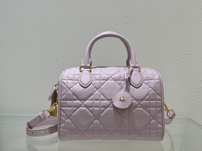 Dior Groove 25 Bag pink Macrocannage Calfskin M1365UB