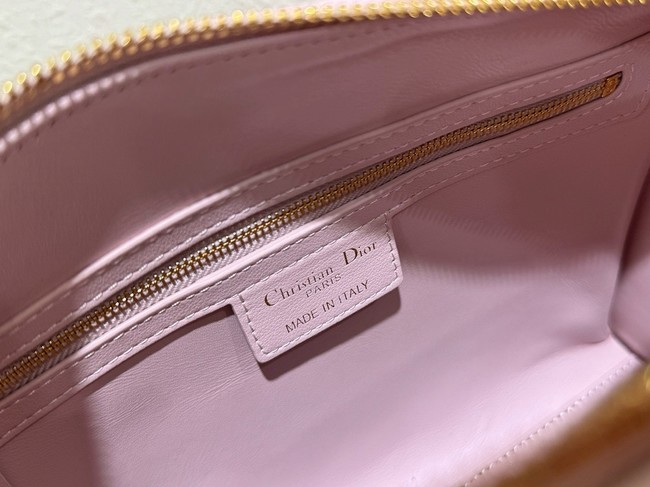 Dior Groove 25 Bag pink Macrocannage Calfskin M1365UB