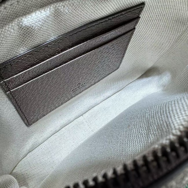 GUCCI OPHIDIA MINI BAG 746308 Brown