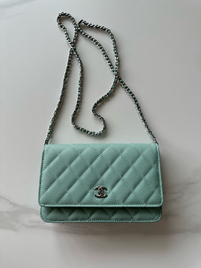 Chanel Classic Wallet On Chain Grained Calfskin AP4241-4