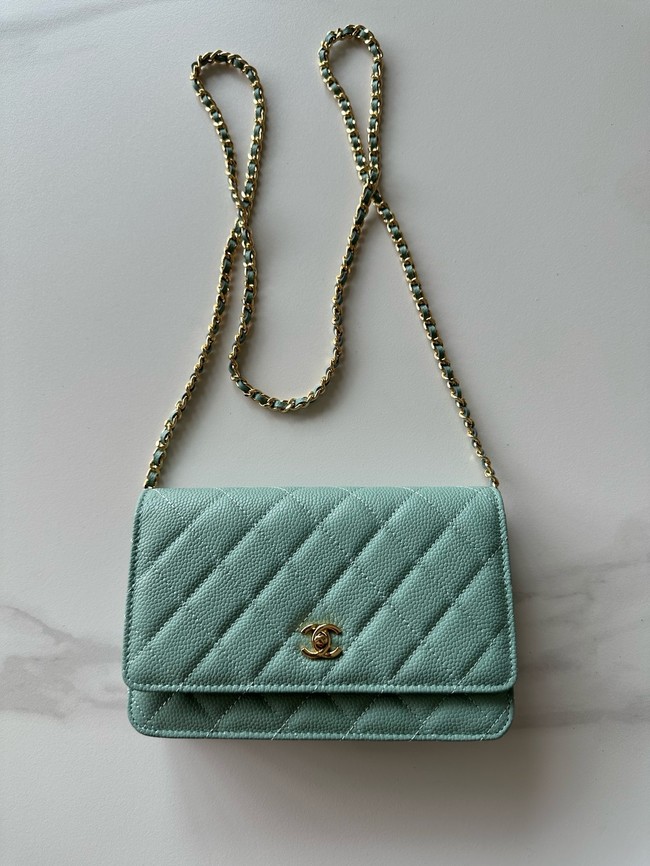 Chanel Classic Wallet On Chain Grained Calfskin AP4241-5