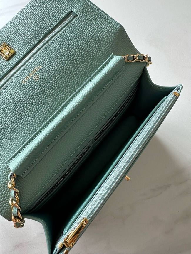 Chanel Classic Wallet On Chain Grained Calfskin AP4241-5