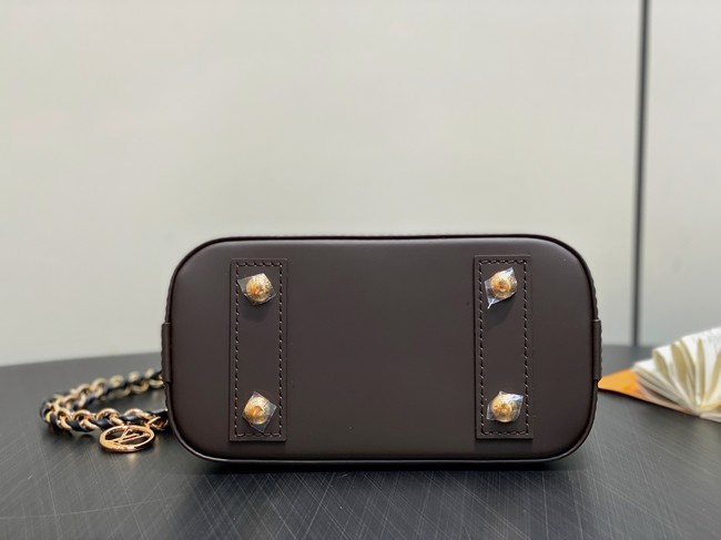 Louis Vuitton Damier Ebene coated canvas M14939