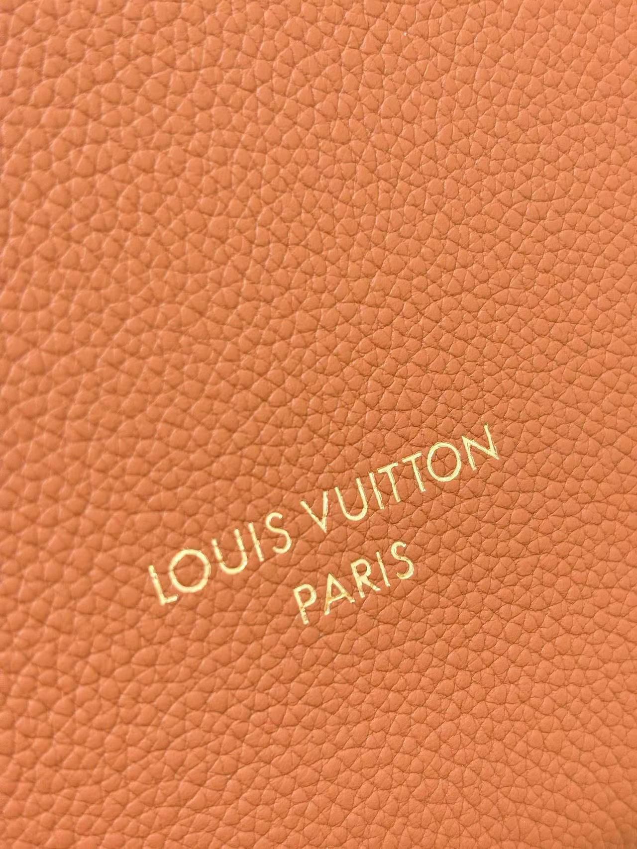 Louis Vuitton Low Key Cookie MM M14642 Brown