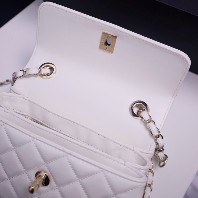 CHANEL small Flap Bag With Top Handle 92236-9