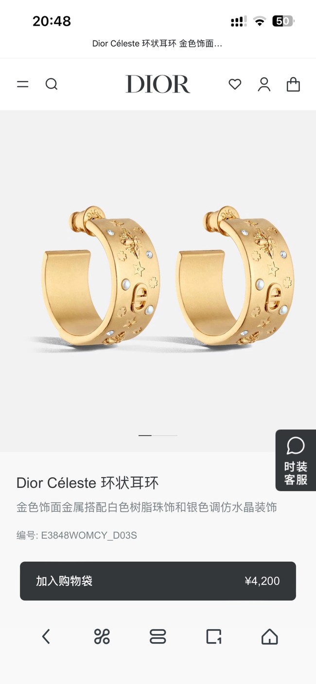 Dior Earring CE80999