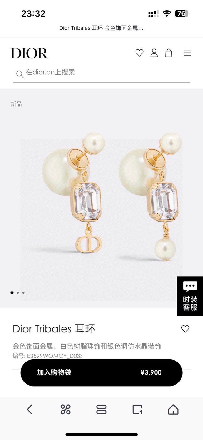 Dior Earring CE81000